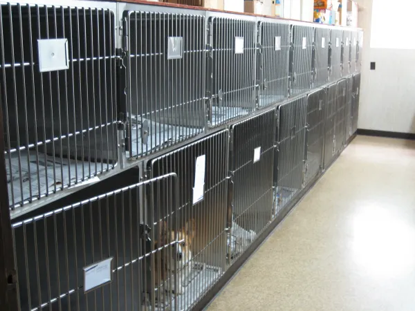 Marion Animal Hospital 8