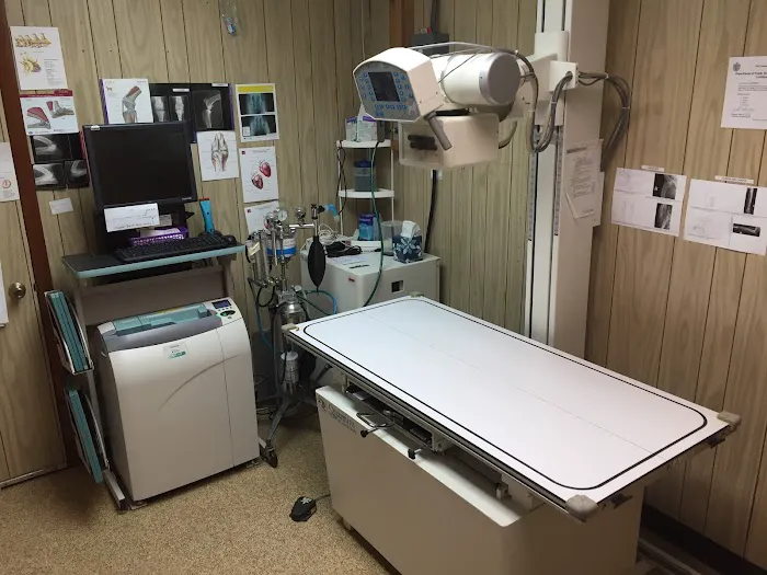 Marion Animal Hospital 9
