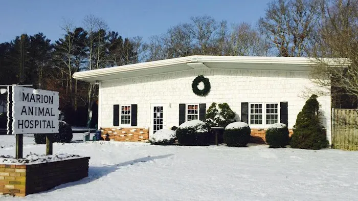 Marion Animal Hospital 6