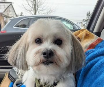 Assonet Animal Hospital