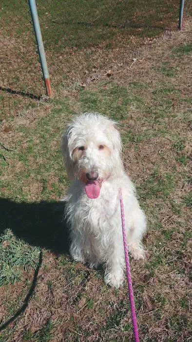 Raynham Veterinary Hospital, Inc. 2