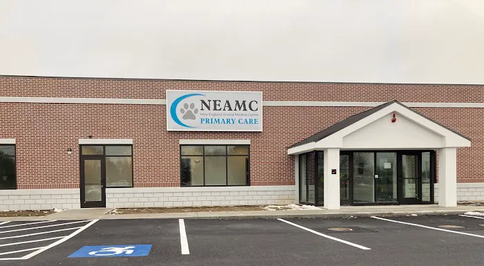 New England Animal Medical Center Primary Care 7