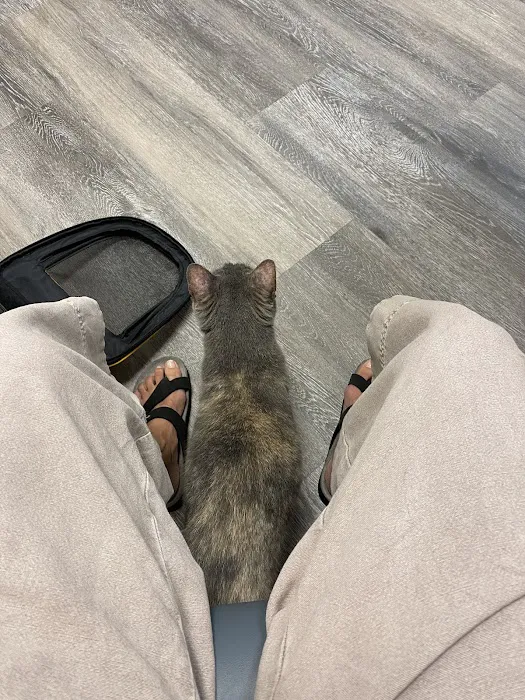 New England Animal Medical Center Primary Care 10
