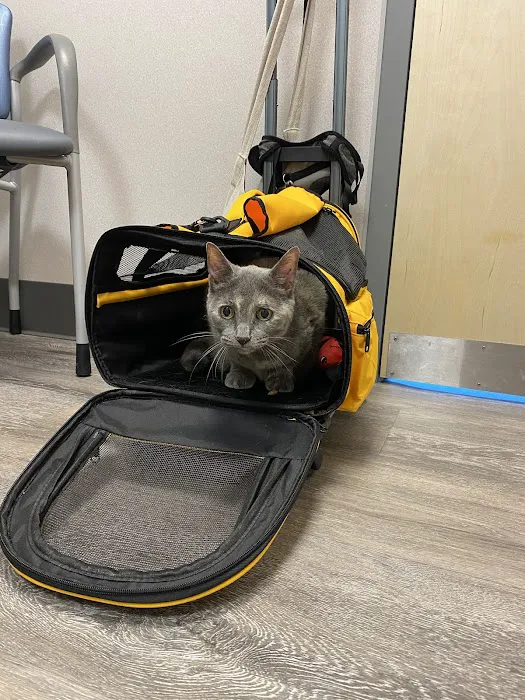 New England Animal Medical Center Primary Care 8