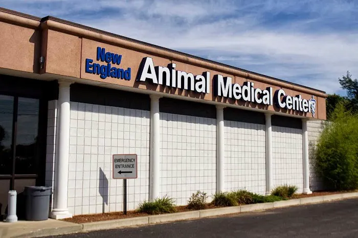 New England Animal Medical Center 10