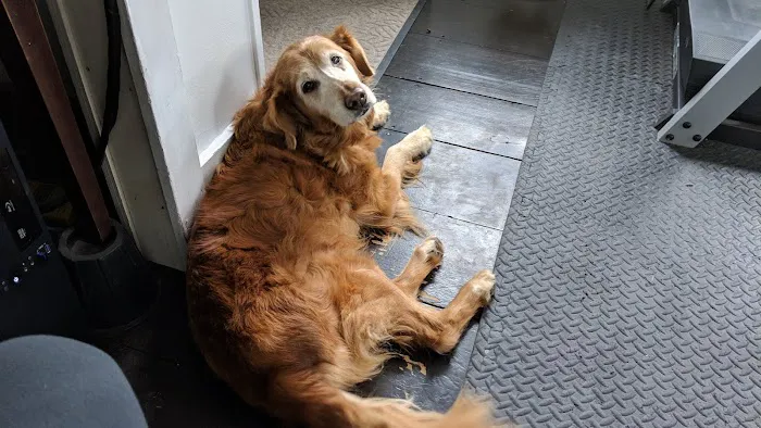 New England Animal Medical Center 6