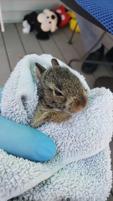 New England Animal Medical Center 3