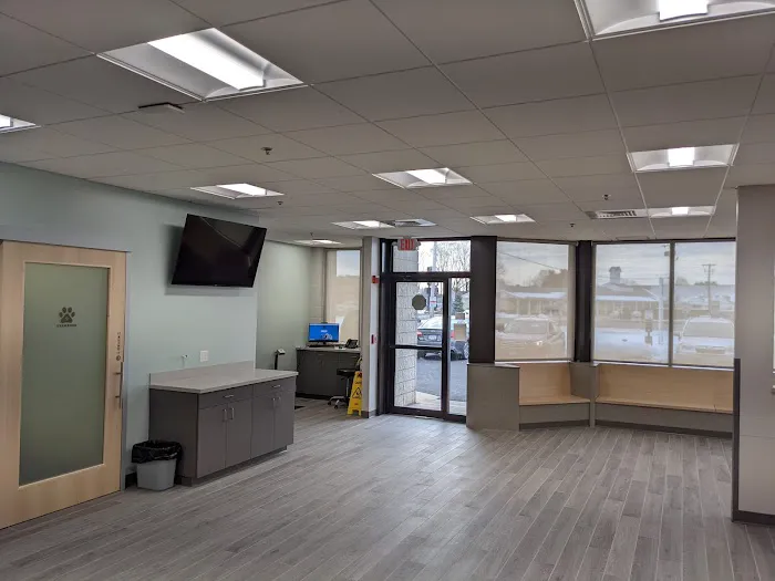 New England Animal Medical Center 4