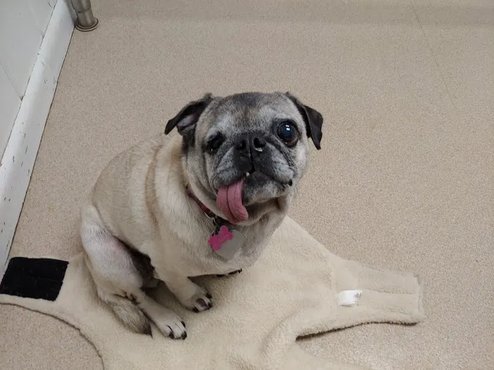 Bridgewater Veterinary Clinic 3