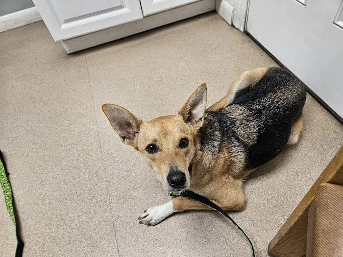 Bridgewater Veterinary Clinic 5