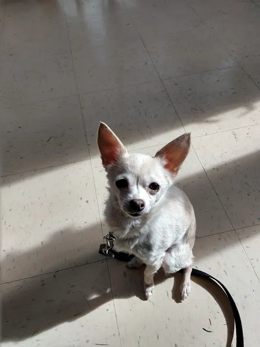 Lakeville Animal Hospital 2
