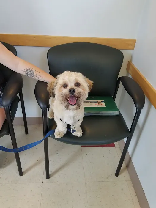 Lakeville Animal Hospital 4