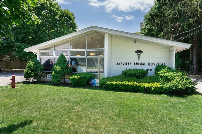 Lakeville Animal Hospital 9