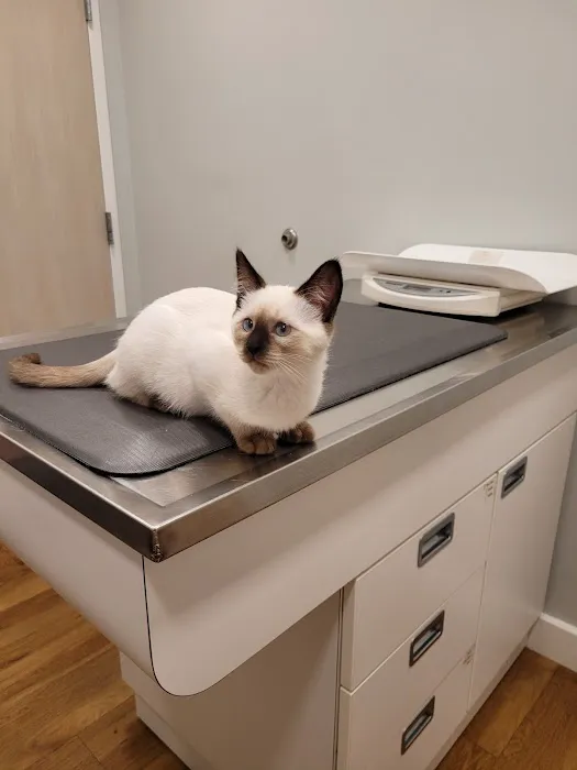 Chase Veterinary Clinic 6