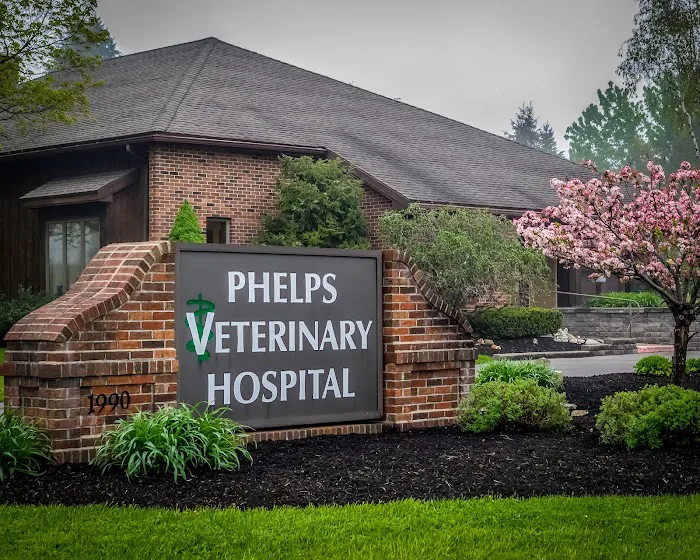 Phelps Veterinary Hospital 9