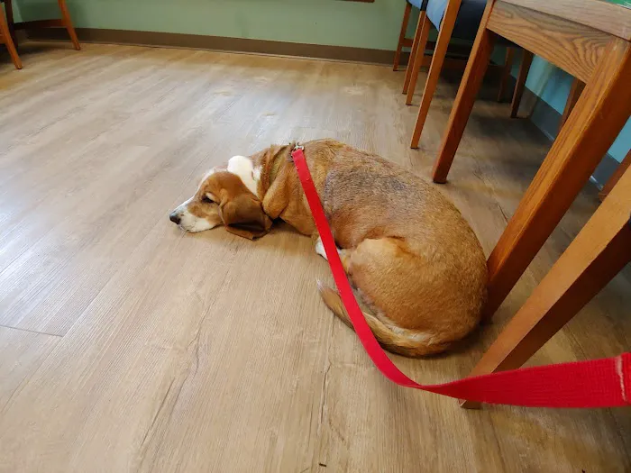 Phelps Veterinary Hospital 6