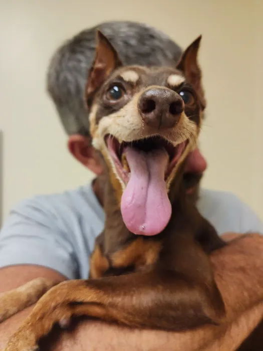Eastview Veterinary Clinic, PC 1
