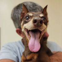 Eastview Veterinary Clinic, PC ico