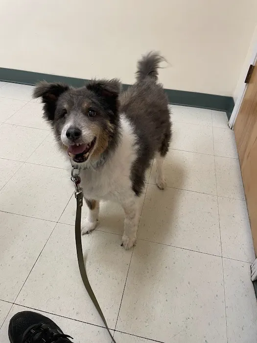 Eastview Veterinary Clinic, PC 3