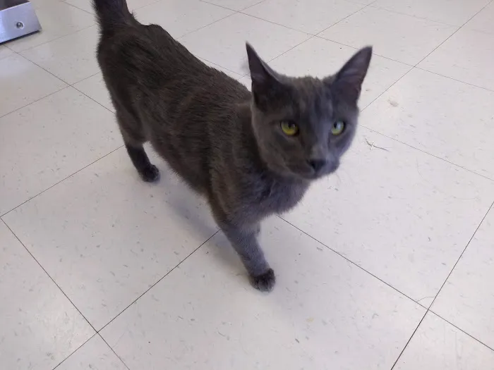 Newark Veterinary Hospital 3