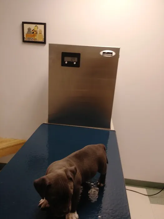 Newark Veterinary Hospital 2