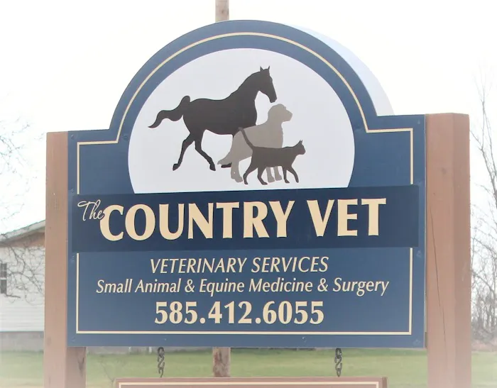 The Country Vet 8