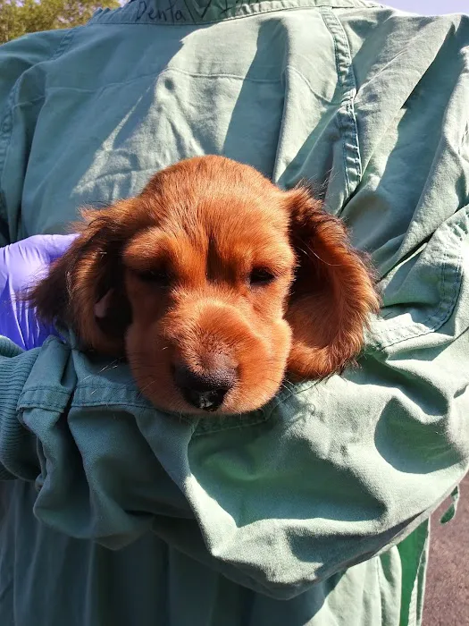 Canandaigua Veterinary Hospital 7