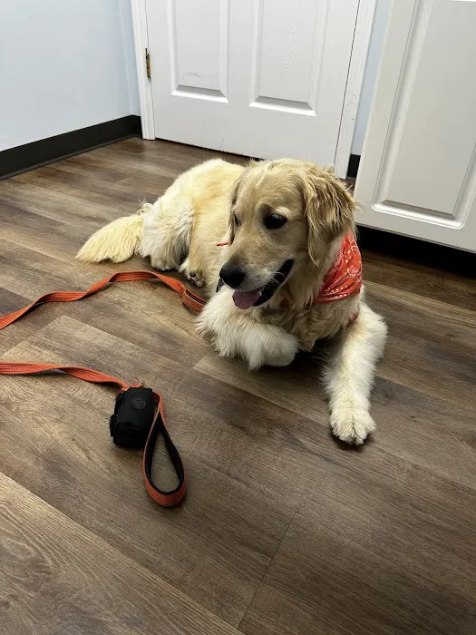Southport Animal Hospital 3