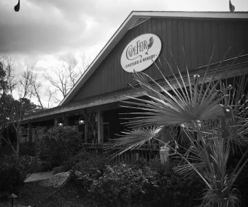 Four Paws Animal Hospital