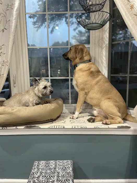 Oak Island Animal Hospital 7