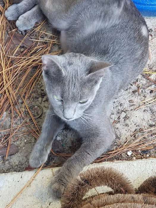 Fix A Friend Spay Neuter Clinic 7