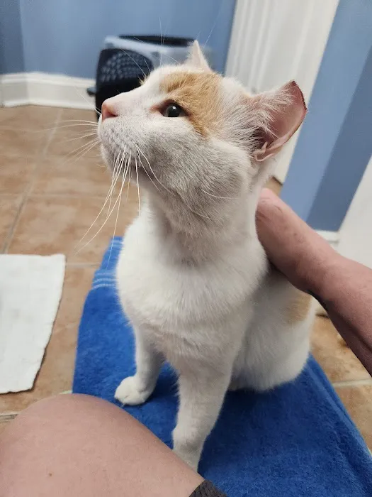 Fix A Friend Spay Neuter Clinic 3