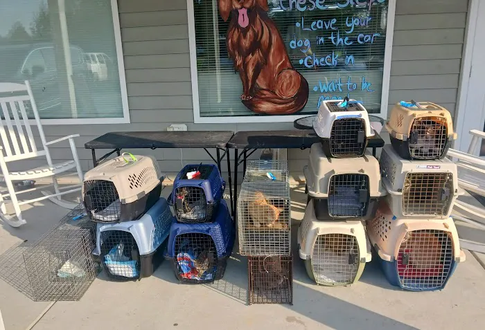 Fix A Friend Spay Neuter Clinic 4