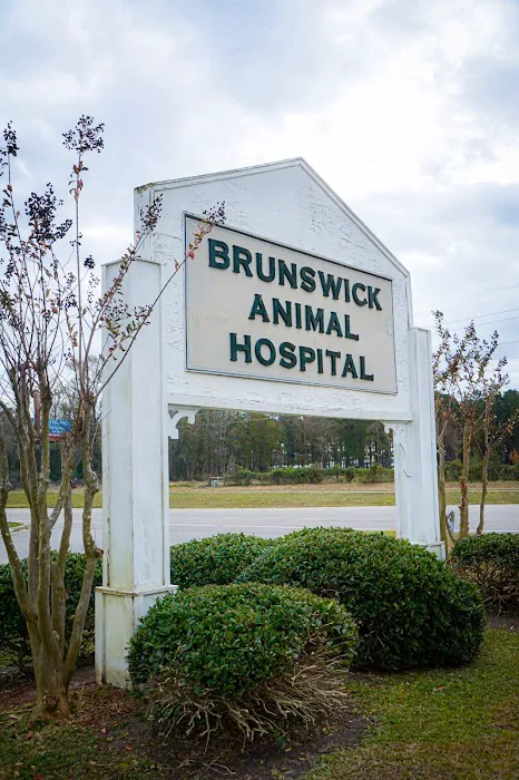 Brunswick Animal Hospital 6