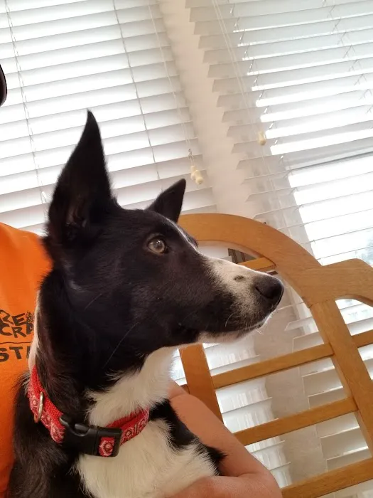 Brunswick Animal Hospital 7