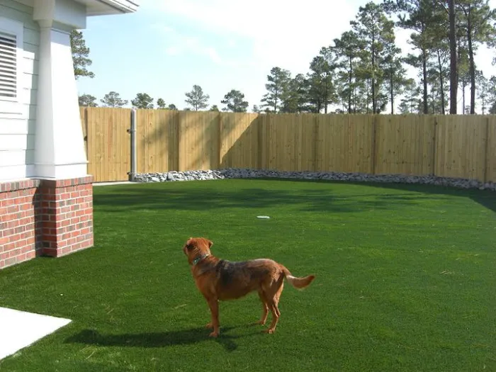 Brunswick Forest Veterinary Hospital 10
