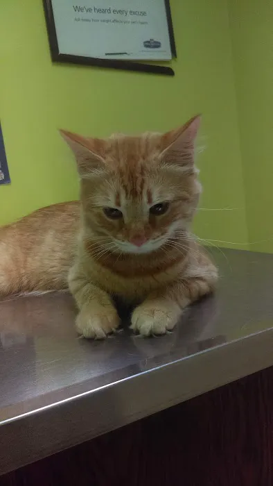 North Versailles Veterinary Care 8