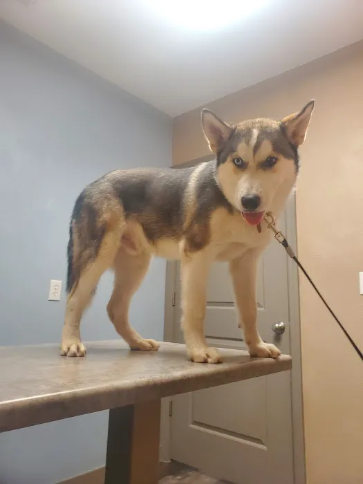 Countryside Veterinary Hospital 3
