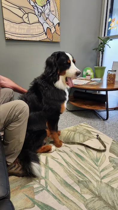 PetVet365 Pet Hospital Pittsburgh/Wilkins Township 3