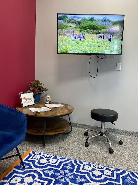 PetVet365 Pet Hospital Pittsburgh/Wilkins Township 4