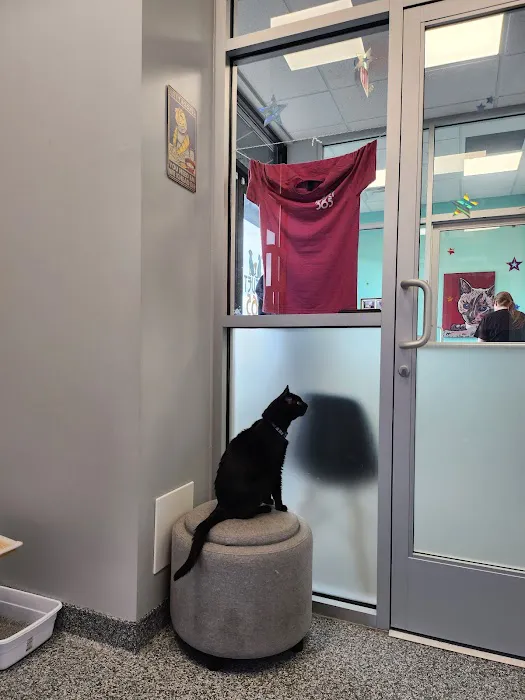 PetVet365 Pet Hospital Pittsburgh/Wilkins Township 7