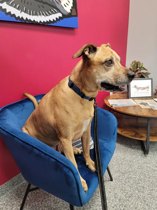 PetVet365 Pet Hospital Pittsburgh/Wilkins Township 10