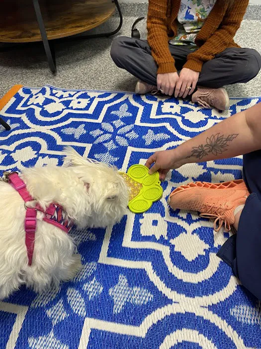 PetVet365 Pet Hospital Pittsburgh/Wilkins Township 8