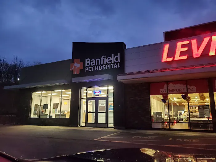 Banfield Pet Hospital 3