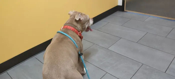 Banfield Pet Hospital 9