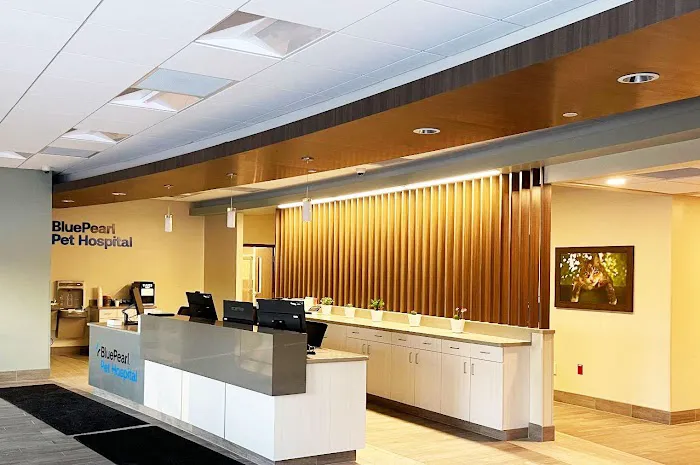 BluePearl Pet Hospital 3