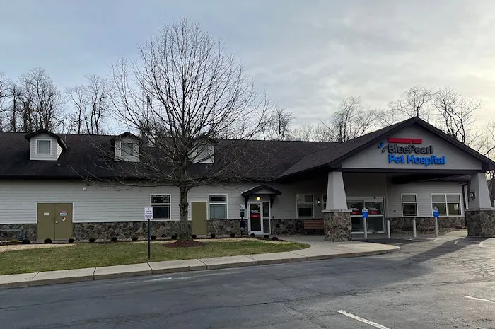 BluePearl Pet Hospital 10