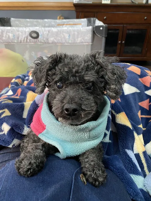 BluePearl Pet Hospital 8