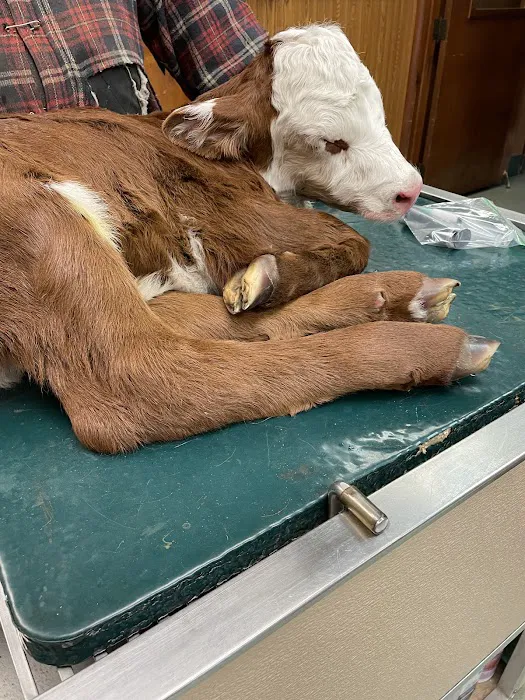 Duck Hollow Animal Hospital 5