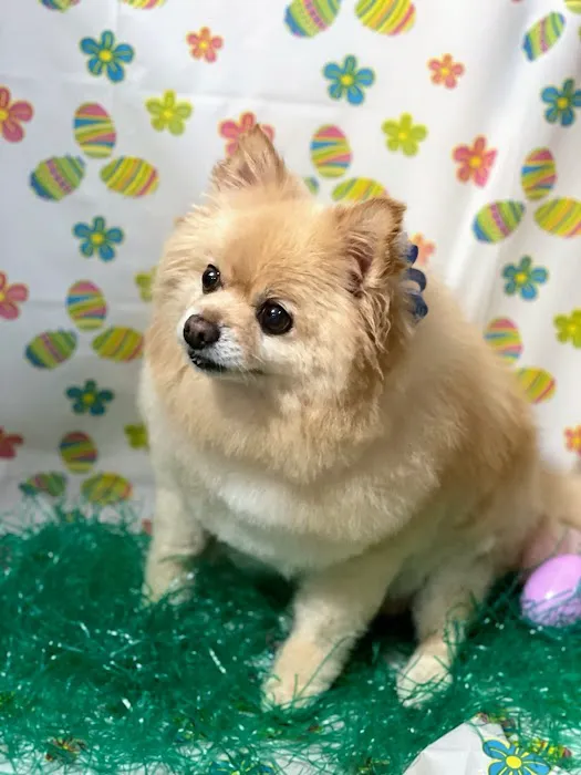 Duck Hollow Animal Hospital 9